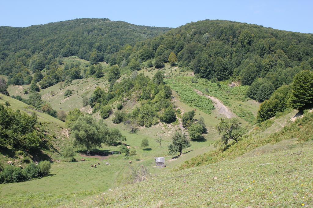Svit Sontsya Tur'ya Polyana Exterior foto